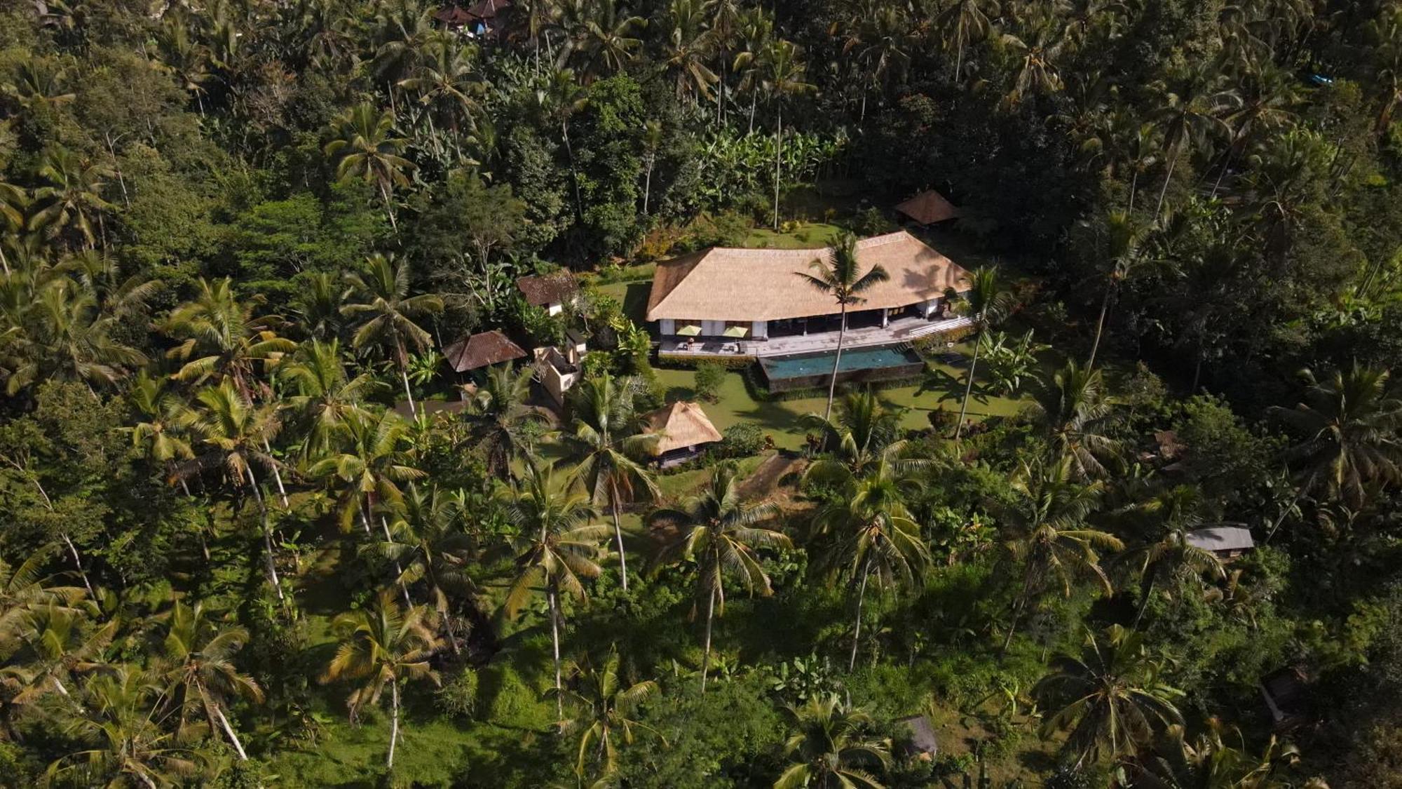 Villa Themma Jungle - Sumptuous 3Br Luxury Villa With Majestic Jungle View North Of Ubud Exteriér fotografie