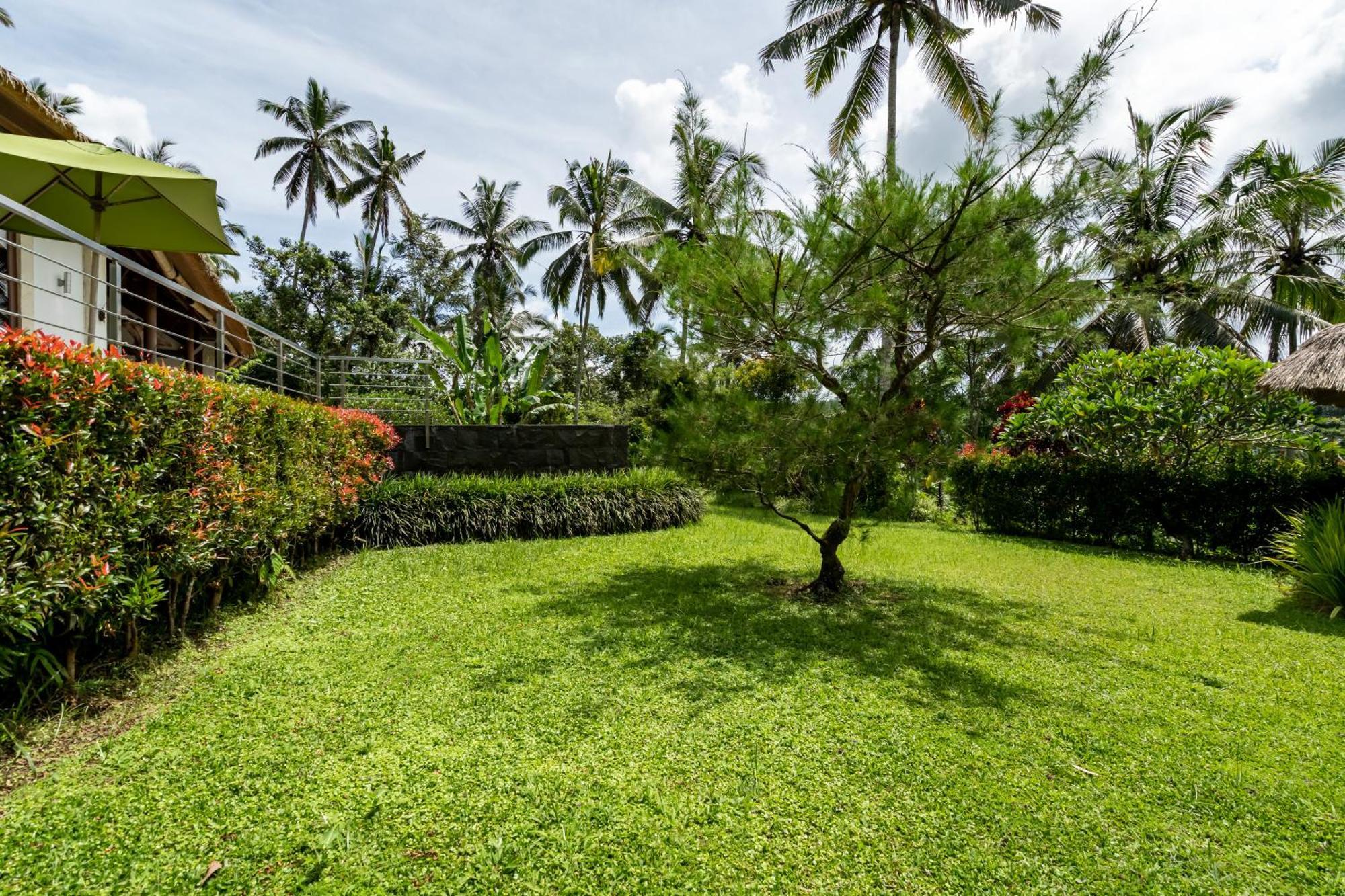 Villa Themma Jungle - Sumptuous 3Br Luxury Villa With Majestic Jungle View North Of Ubud Exteriér fotografie