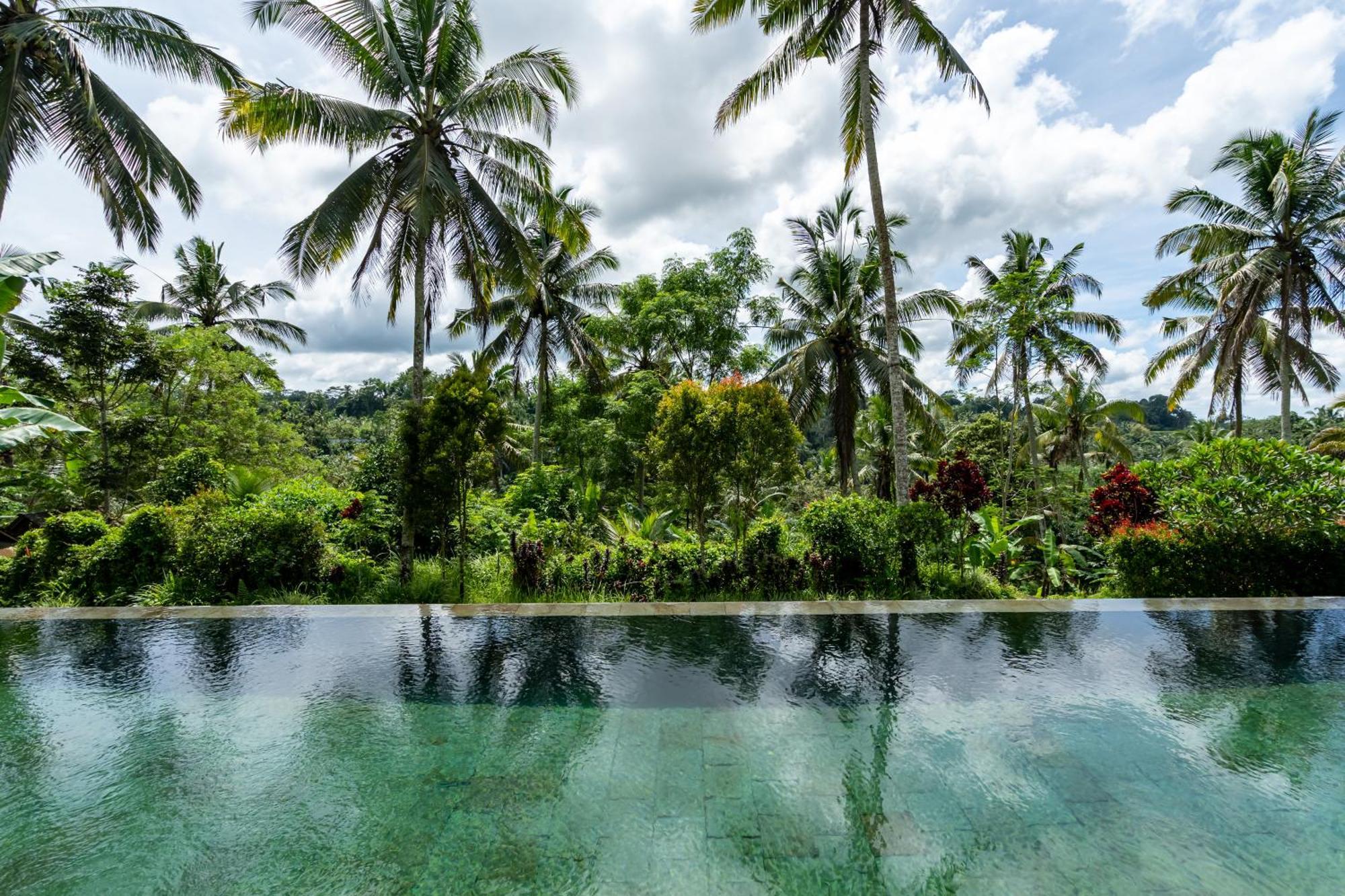 Villa Themma Jungle - Sumptuous 3Br Luxury Villa With Majestic Jungle View North Of Ubud Exteriér fotografie